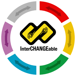 interchangeable icon
