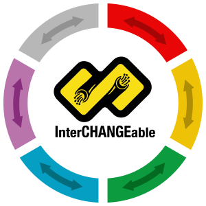 interchangeable icon